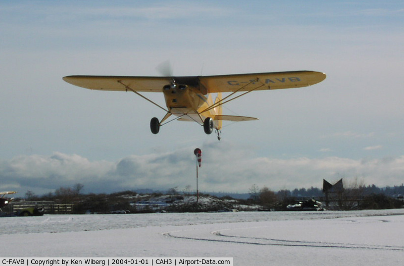 C-FAVB, 1948 Piper PA-17 Vagabond C/N 17-51, Only one bird playing on a snow covered runway at Courtenay Airpark on New Years Day, 2004!
