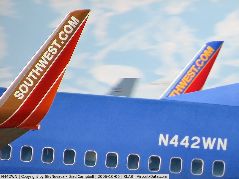 N442WN, 2003 Boeing 737-7H4 C/N 32459, Southwest Airlines / 2003 Boeing 737-7H4 / Somewhere between 1/1/06 & 5/13/06, something happened to the pilot-side winglet.