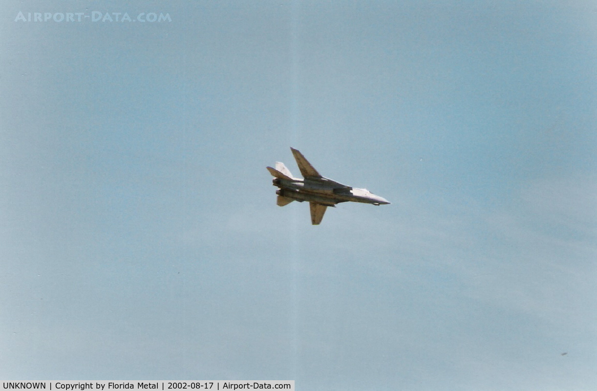 UNKNOWN, , F-14 Over Chicago Air and Water Show