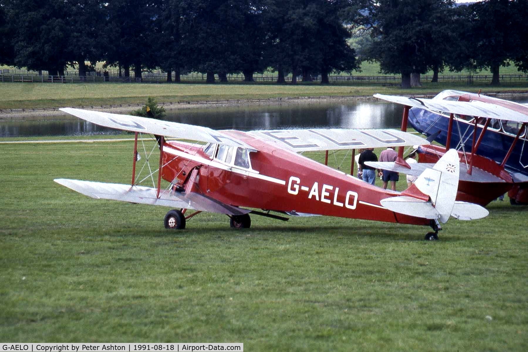 G-AELO, 1936 De Havilland DH.87B Hornet Moth C/N 8105, Moth Rally 1991, Woburn Abbey, Bedfordshire, England