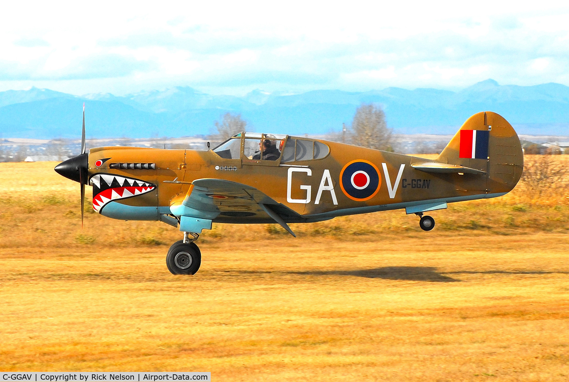 C-GGAV, 1987 Loehle P-40 Kittyhawk Scale Replica C/N WTF3, P-40K