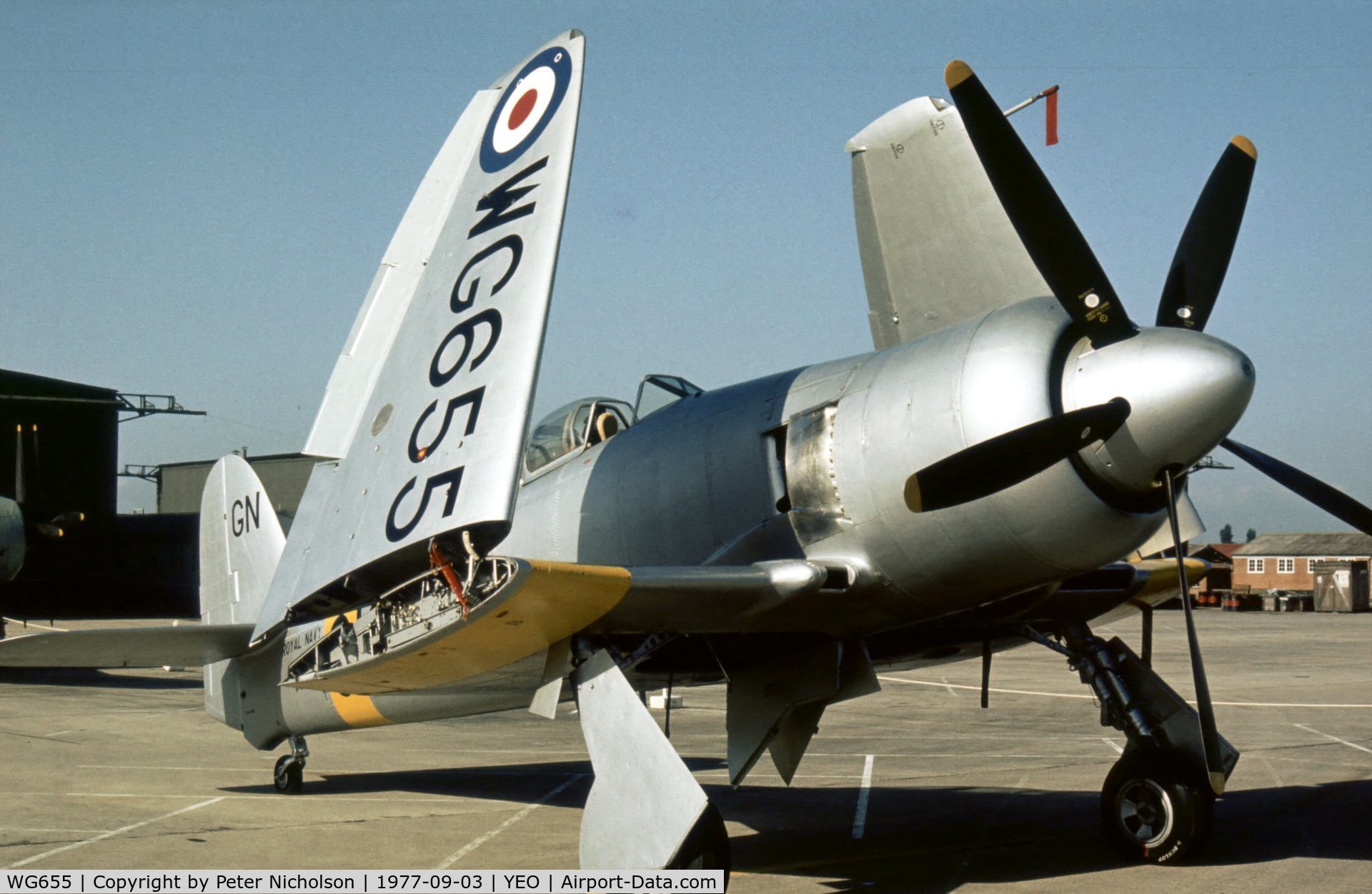 WG655, 1952 Hawker Sea Fury T.20 C/N 41H/636070, In for repaint at the 1976 Air Day, the Royal Navy Historic Flight Sea Fury T.20 at the 1977 RNAS Yeovilton Air Day wore new markings.