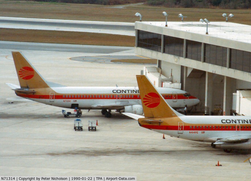 N71314, 1985 Boeing 737-3TO C/N 23365, Boeing 737-3TO of Continental Airlines at Tampa in January 1990.