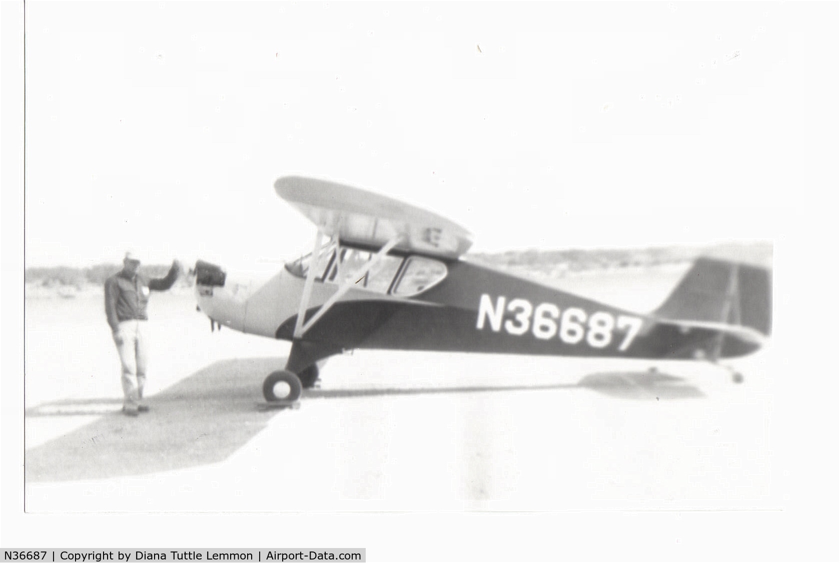 N36687, 1941 Aeronca 65-TAC C/N L1441TA, Robert L. Tuttle with aircraft #n36687