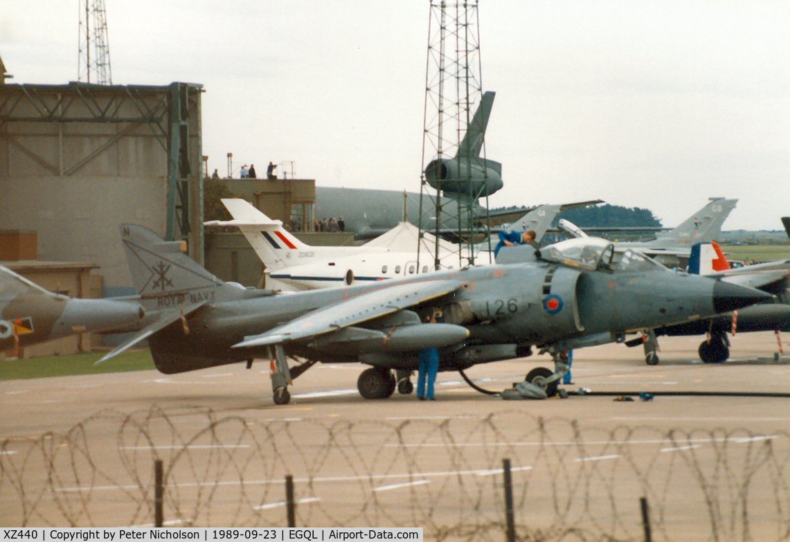 XZ440, 1979 British Aerospace Sea Harrier FRS.1 C/N 41H-912003, Sea Harrier FRS.1 of 800 Squadron at RNAS Yeovilton on the flight-line at the 1989 RAF Leuchars Airshow.