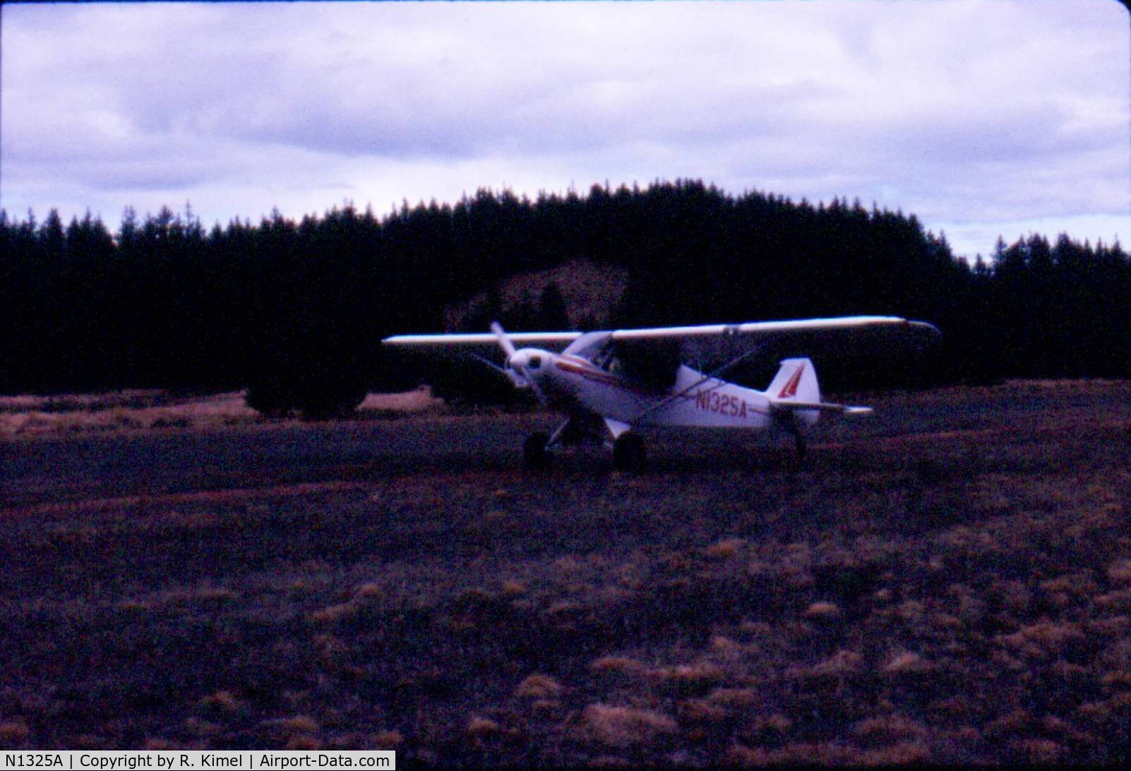 N1325A, 1951 Piper PA-18 C/N 18-1139, Taken on Kodiak, Miller Field, May 1975