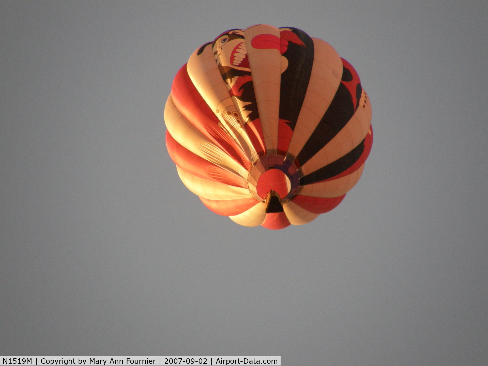 N1519M, 2001 Firefly Balloons Inc FIREFLY 7-15 C/N F7-2003, Monkey Business