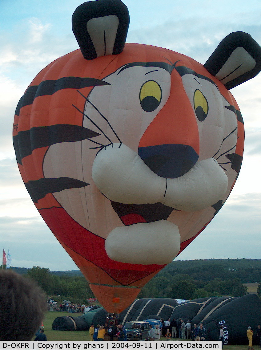 D-OKFR, 1998 Colt Balloons Ltd SS Tiger C/N 4288, WIM 2004