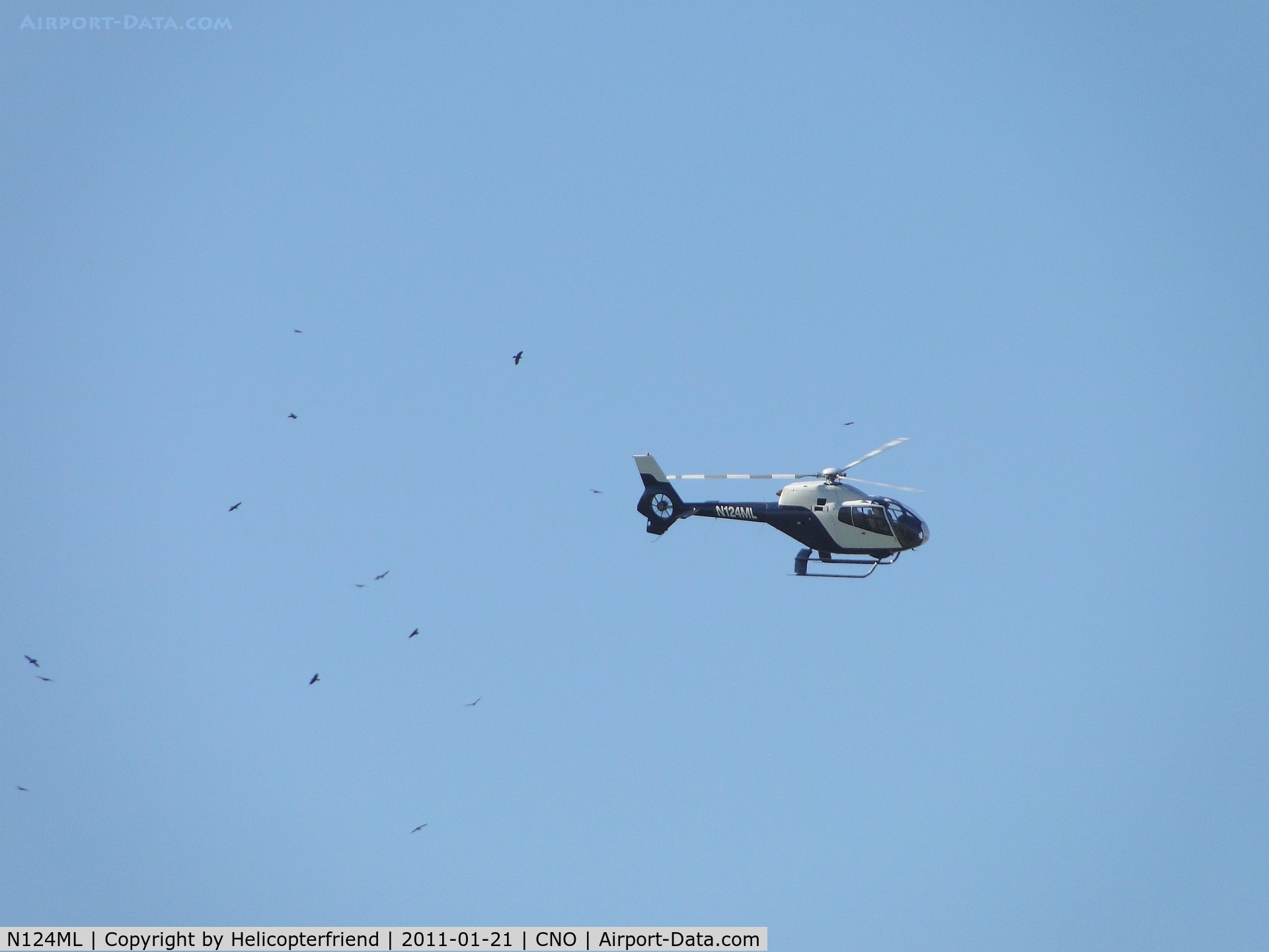 N124ML, 2001 Eurocopter EC-120B Colibri C/N 1262, Appears to be flying with a group of birds