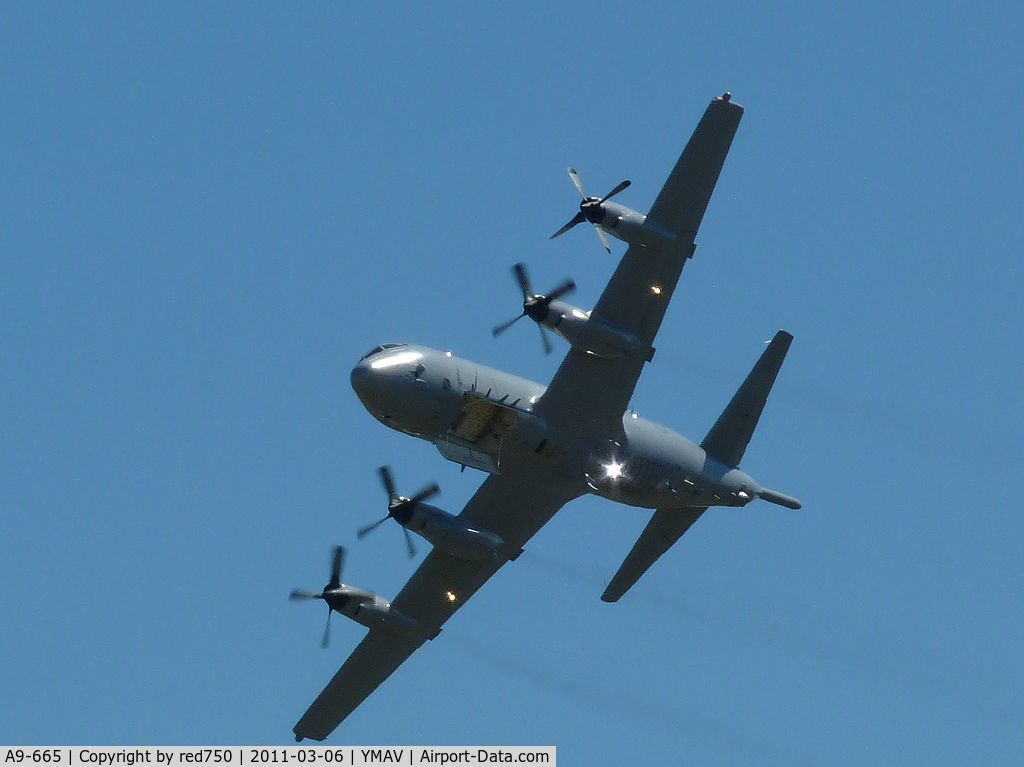 A9-665, Lockheed AP-3C Orion C/N 285D-5795, Orion display at Avalon Air Show 2011. Note ordnance bay doors open and outer port engine feathered.