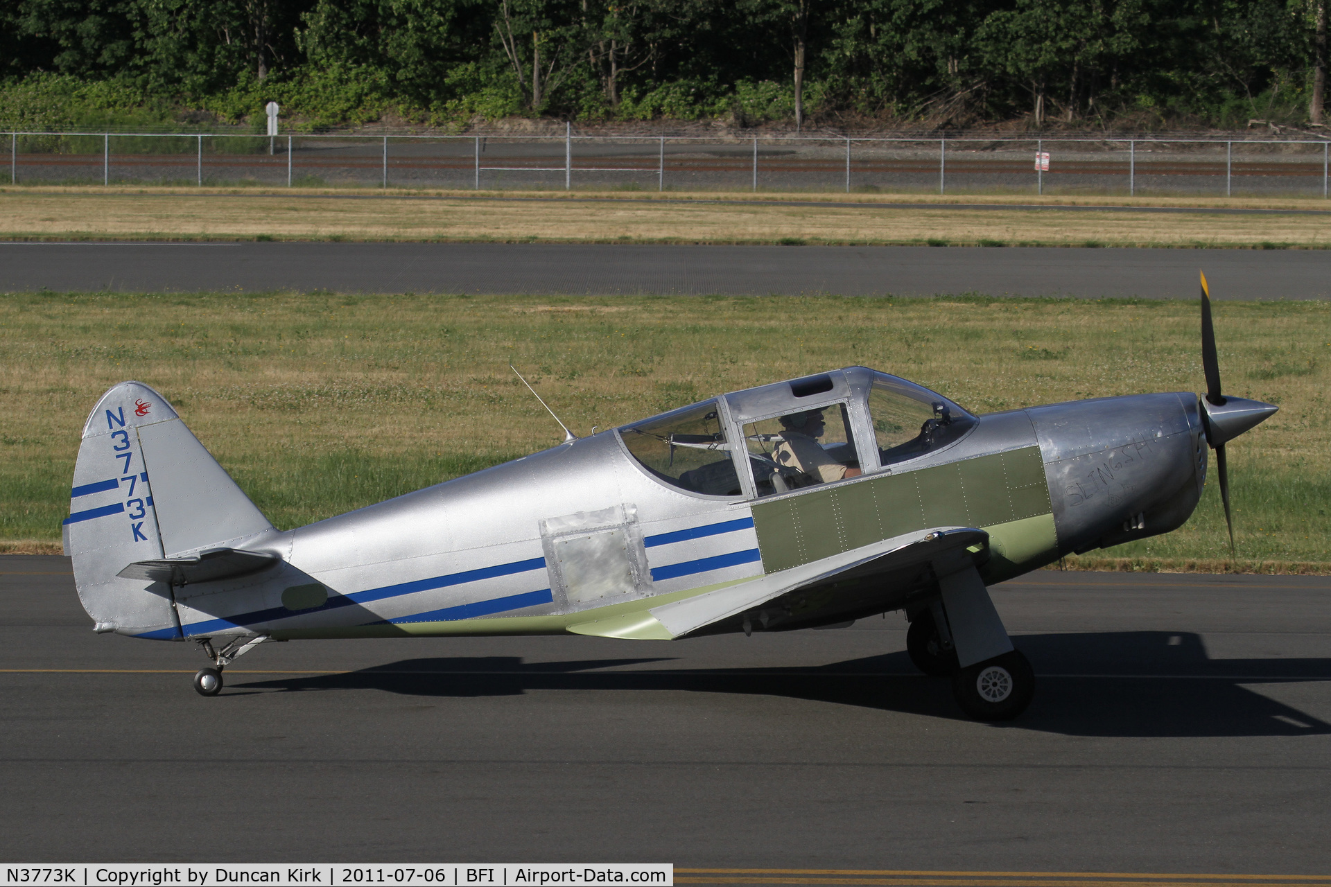 N3773K, 1946 Globe GC-1B Swift C/N 1466, A sunny day brings the best residents out