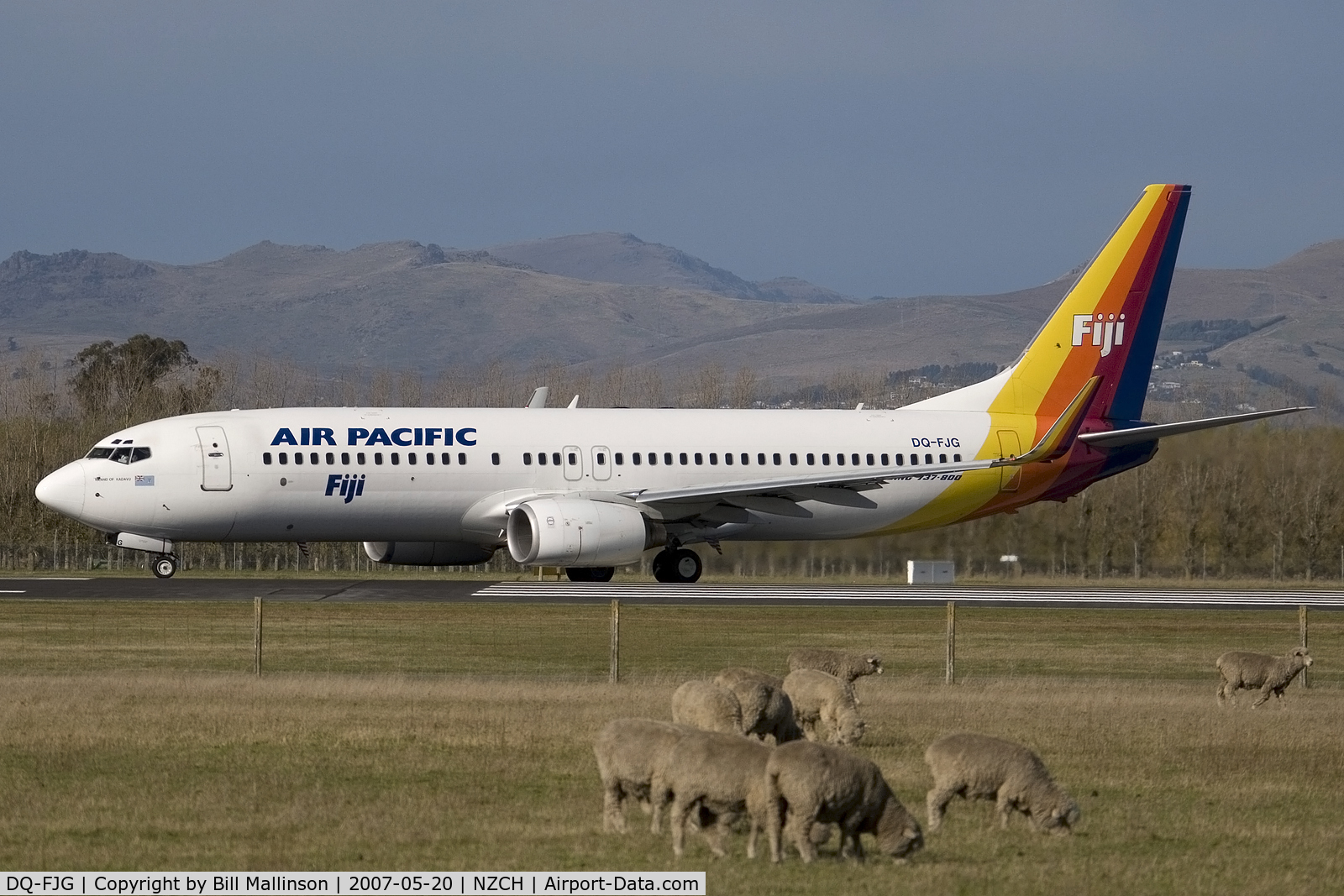 DQ-FJG, 1999 Boeing 737-8X2 C/N 29968, and the sheep just ignore it