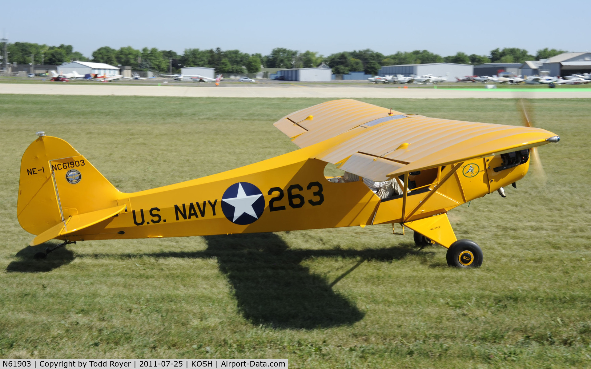N61903, 1942 Piper J3C-65 Cub Cub C/N 8263, AIRVENTURE 2011