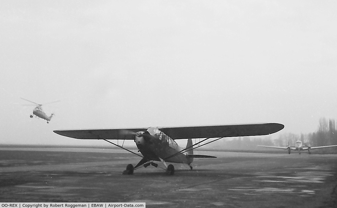 OO-REX, 1944 Piper L-4J Grasshopper (J3C-65D) C/N 12416, Late 1950's.background Dove and S-58C Sabena landing.