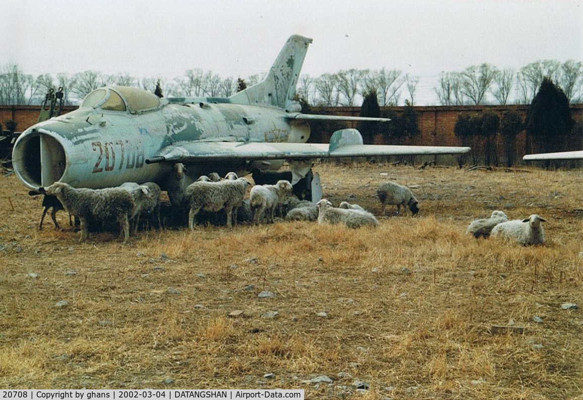 20708, Shenyang J-6 C/N 5614, @ Preserved area Datangshan Aviation Museum.(note the sheep around it)