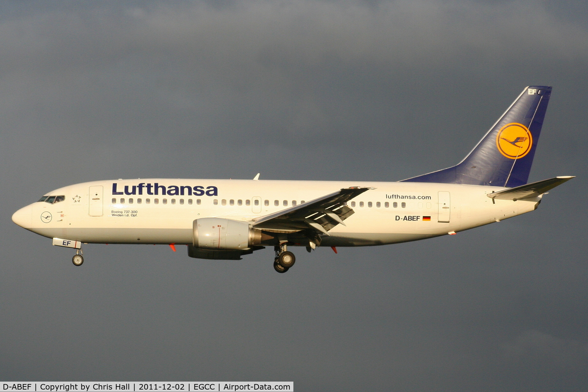 D-ABEF, 1991 Boeing 737-330 C/N 25217, Lufthansa