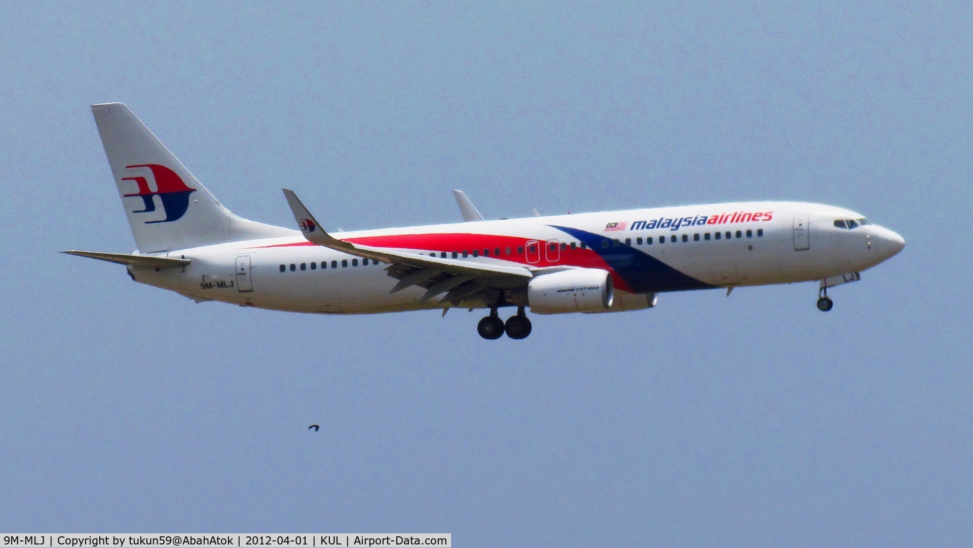 9M-MLJ, 2011 Boeing 737-8 C/N 39319, Malaysia Airlines