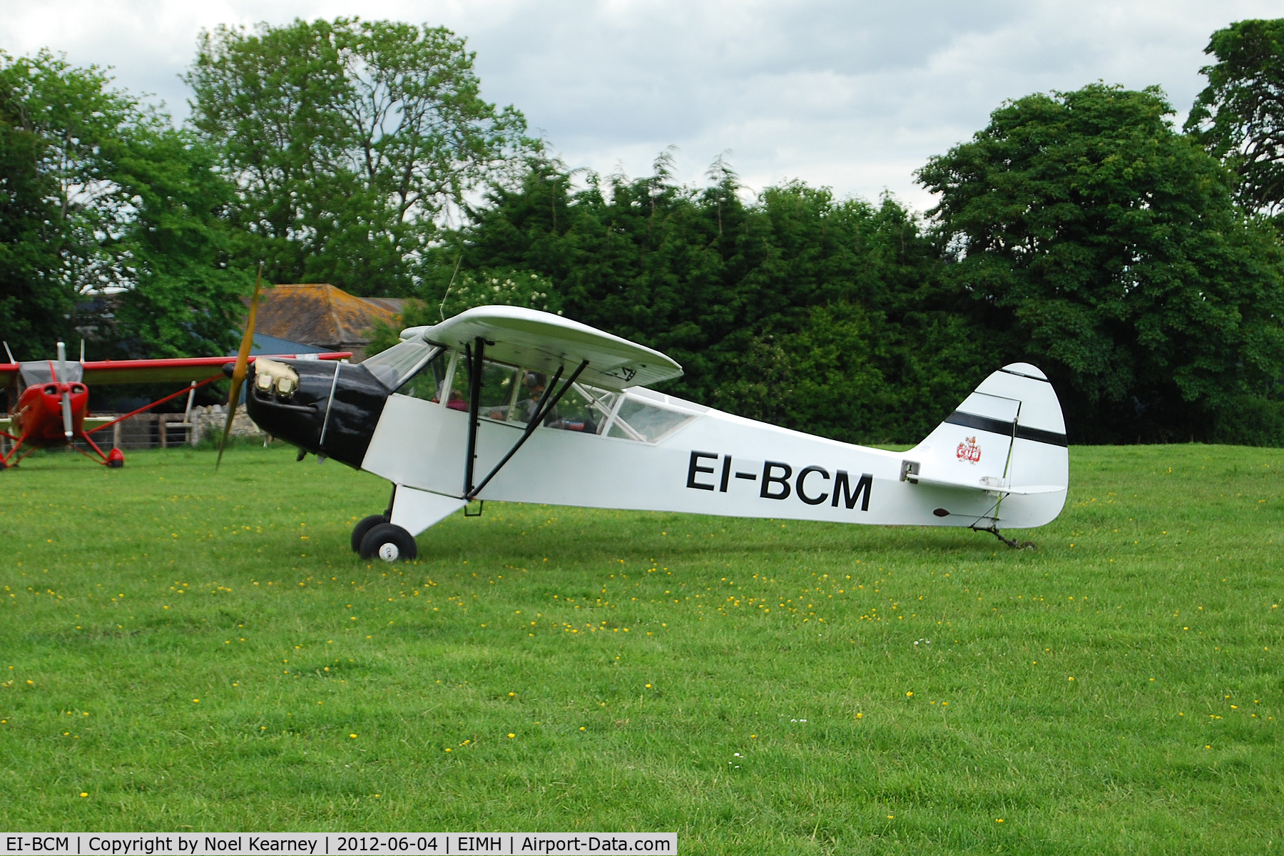 EI-BCM, Piper J3C-65 Cub Cub C/N 11983, Ballyboy Fly-in 04-06-2012