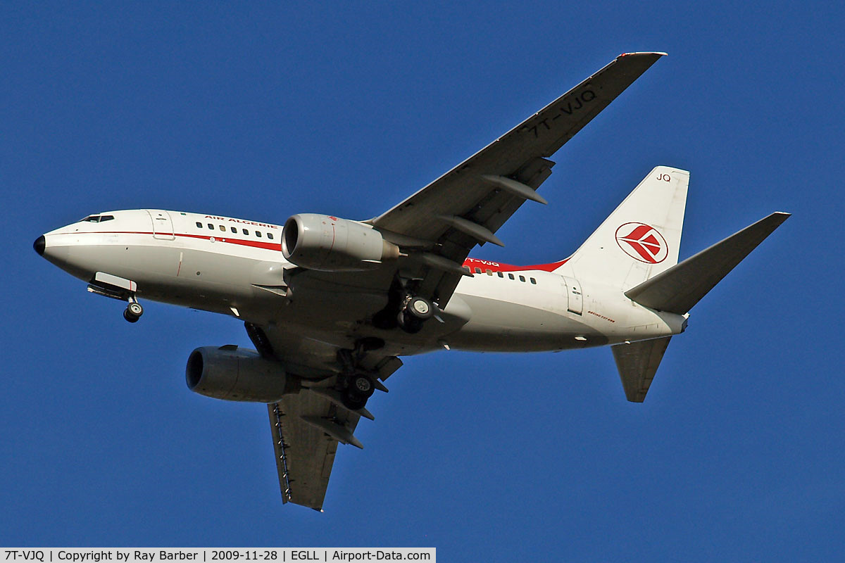 7T-VJQ, 2002 Boeing 737-6D6 C/N 30209, Boeing 737-6D6 [30209] (Air Algerie) Home~G 28/11/2009