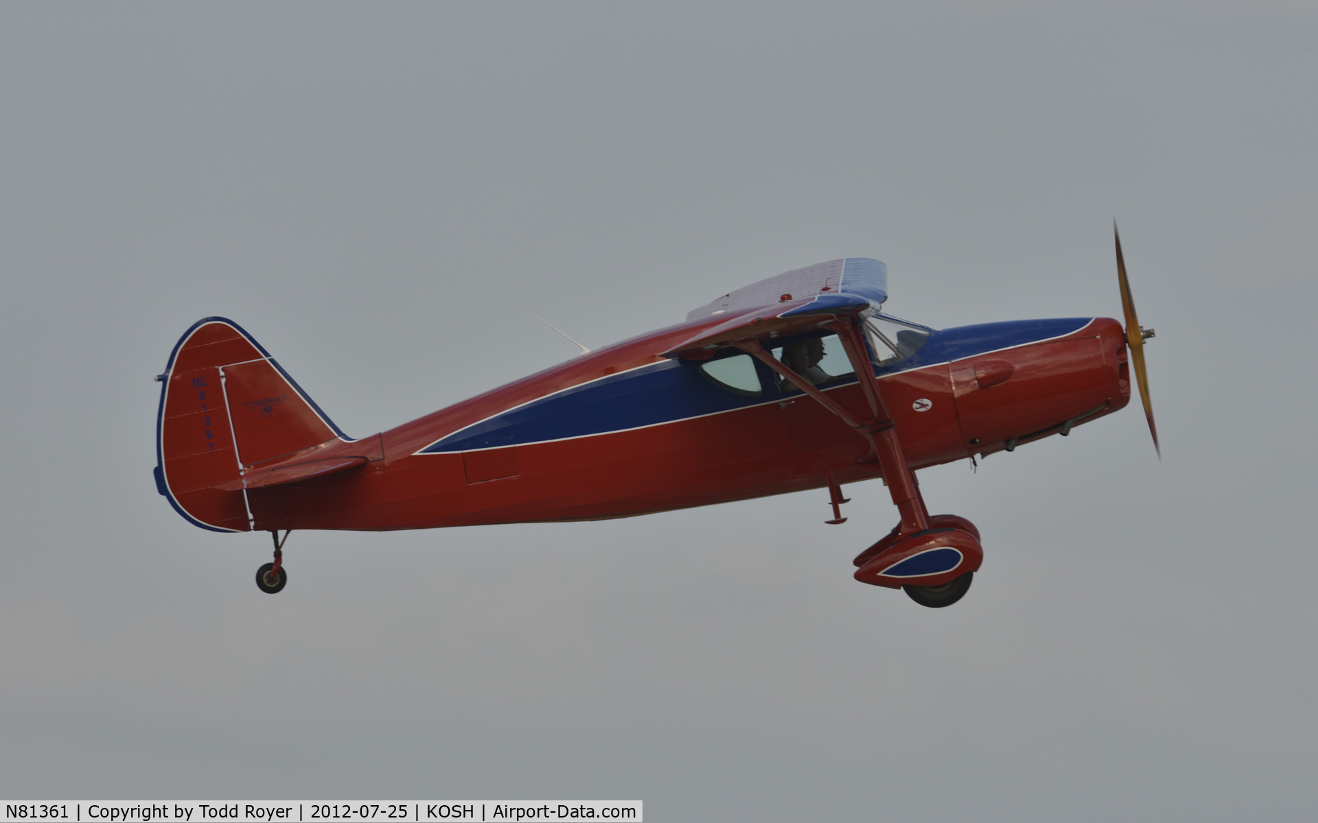N81361, 1946 Fairchild 24R-46 C/N R46261, Airventure 2012