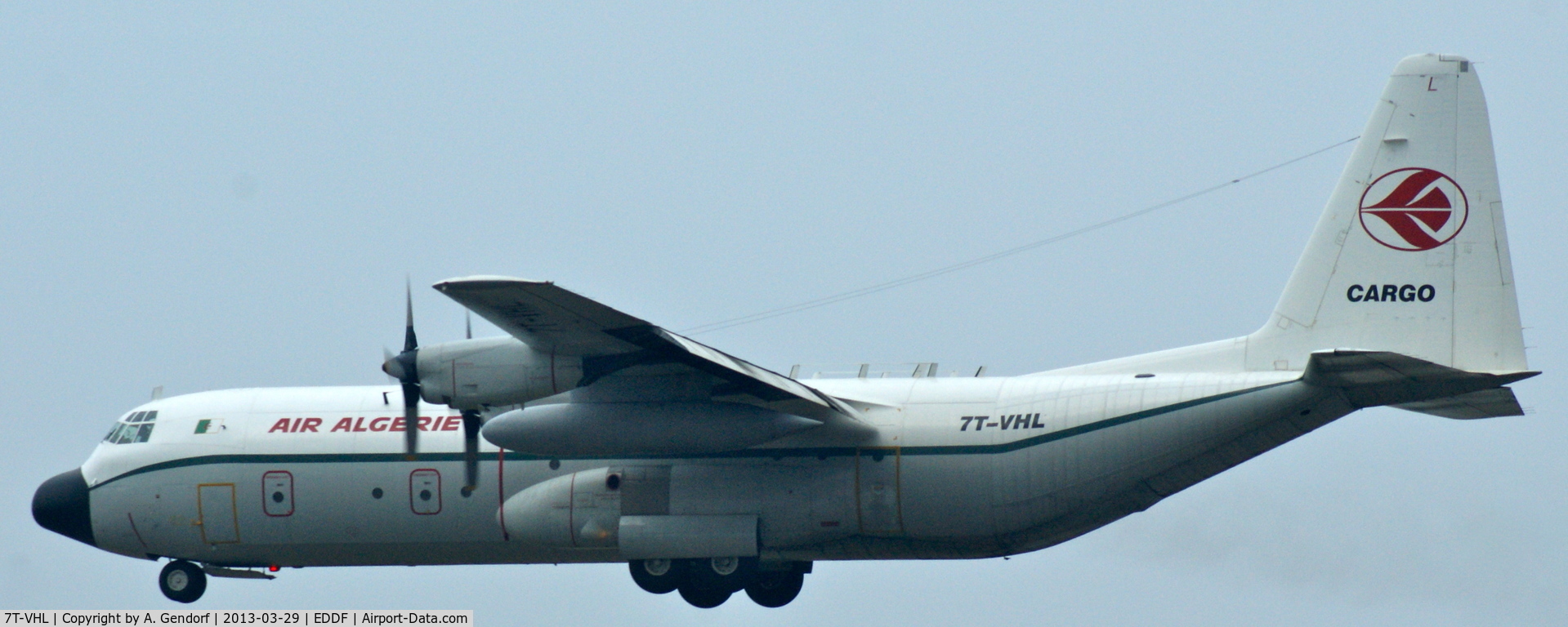 7T-VHL, 1981 Lockheed L-100-30 Hercules (L-382G) C/N 382-4886, Air Algerie Cargo, is arriving from Algiers at Frankfurt Int´l (EDDF)