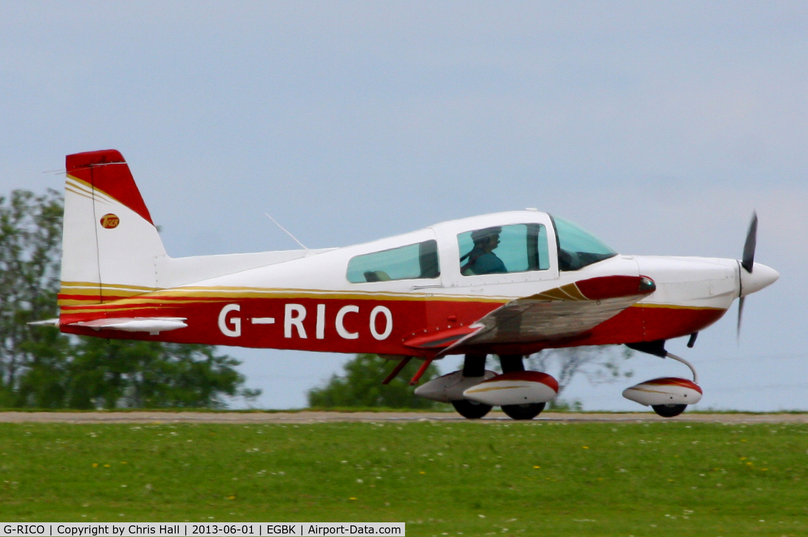 G-RICO, 1993 American General AG-5B Tiger C/N 10162, at AeroExpo 2013