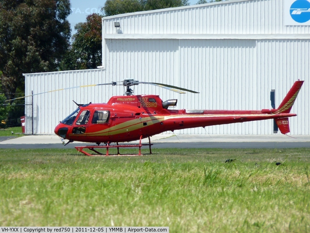 VH-YXX, 2003 Eurocopter AS-350B-3 Ecureuil Ecureuil C/N 3739, VH-YXX at Moorabbin.