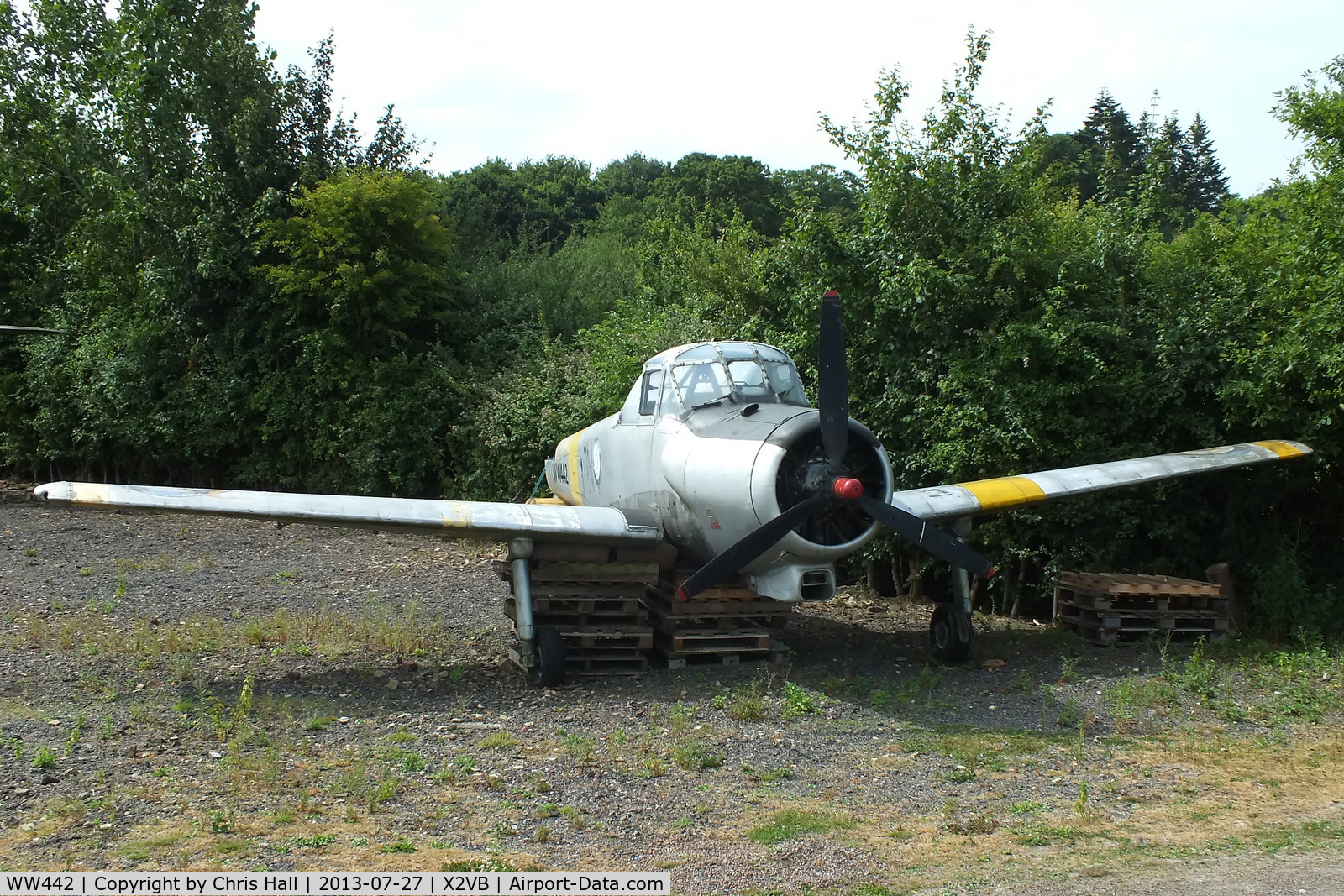 WW442, 1954 Percival P-56 Provost T.1 C/N PAC/56/257, displayed at the Gatwick Aviation Museum