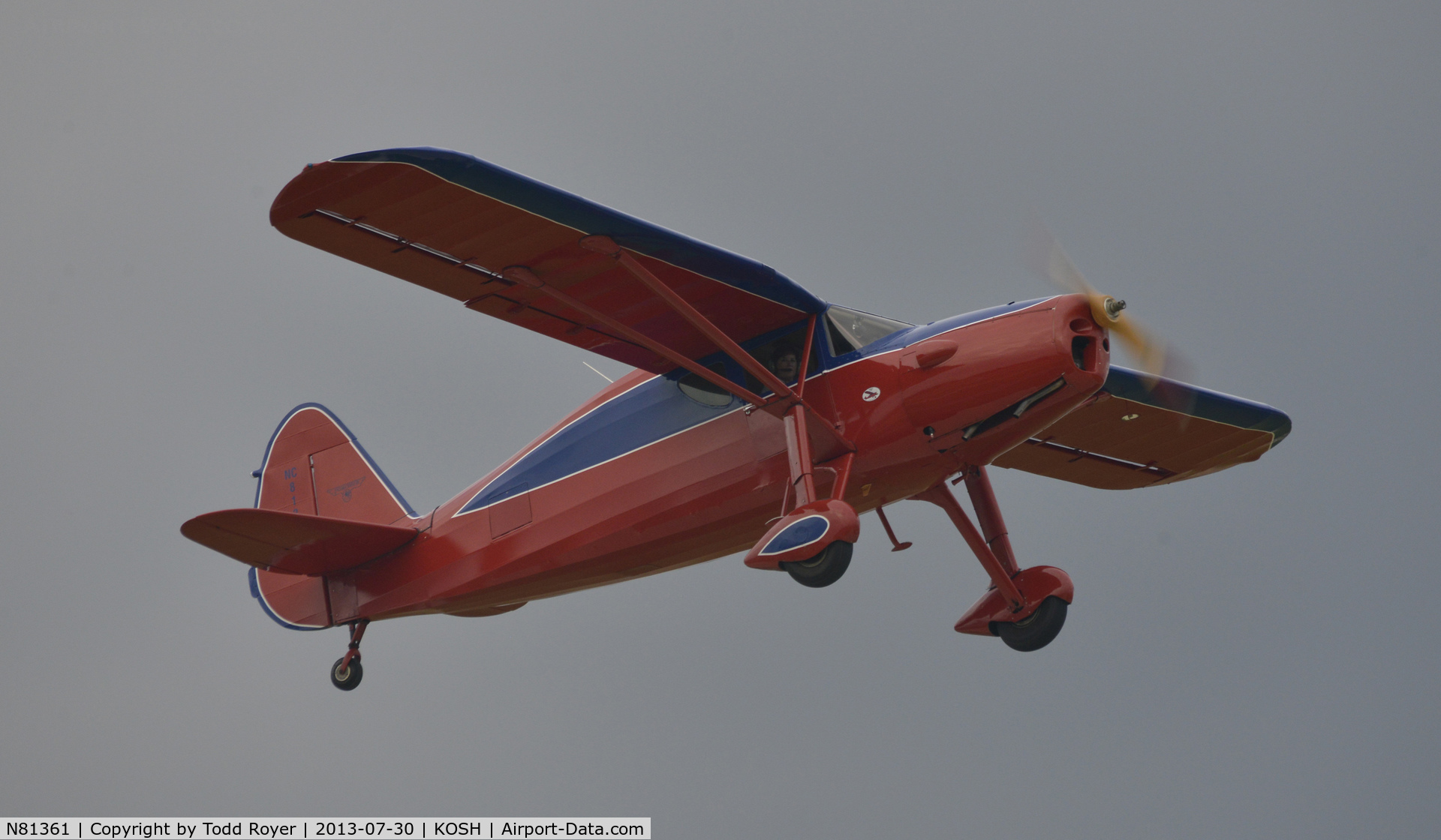 N81361, 1946 Fairchild 24R-46 C/N R46261, Airventure 2013