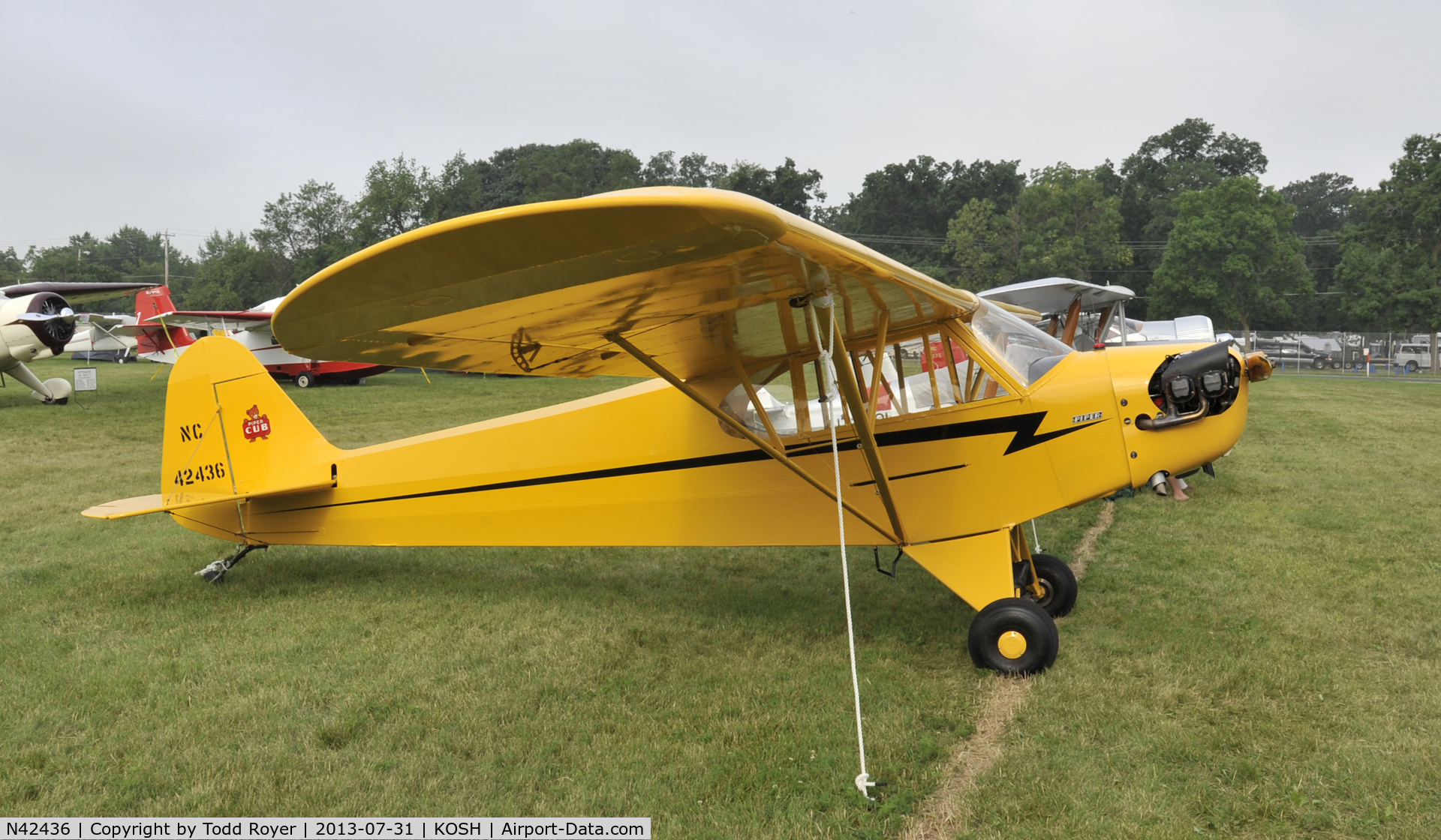 N42436, 1945 Piper J3C-65 Cub Cub C/N 14700, Airventure 2013