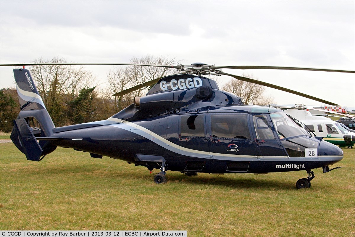 G-CGGD, 1991 Aerospatiale AS-365N-2 Dauphin C/N 6435, Aerospatiale SA.365N2 Dauphin [6435] (Multiflight) Cheltenham Racecourse~G 12/03/2013. Now with Multiflight titles on the nose.