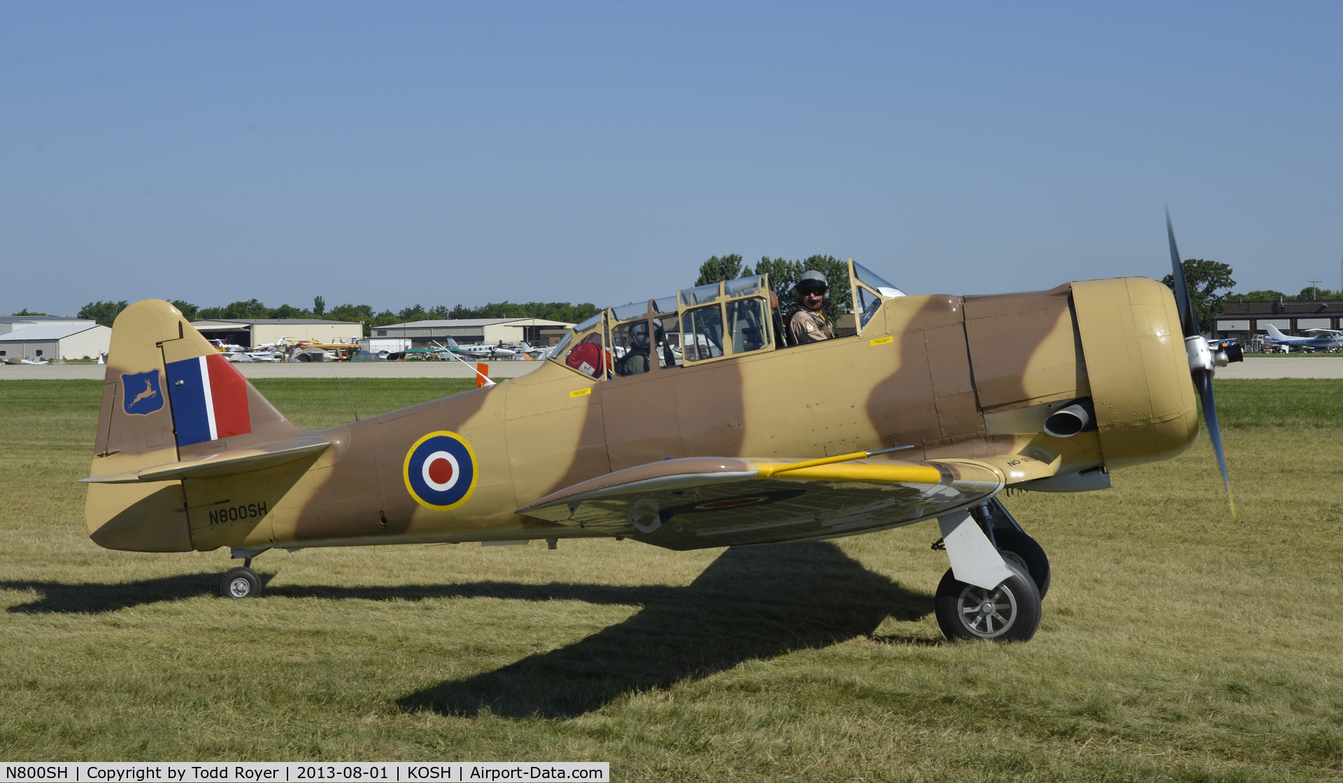 N800SH, 1943 North American AT-6D C/N 8814945, Airventure 2013