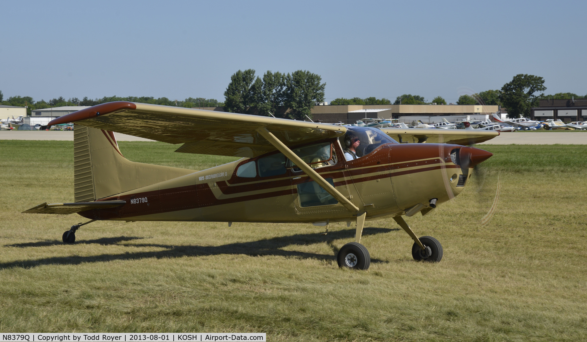 N8379Q, 1978 Cessna A185F Skywagon 185 C/N 18503673, Airventure 2013