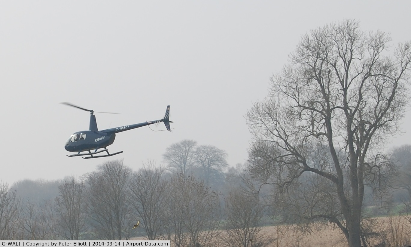 G-WALI, 2005 Robinson R44 II C/N 10849, Take off, Hampshire - March 2014
