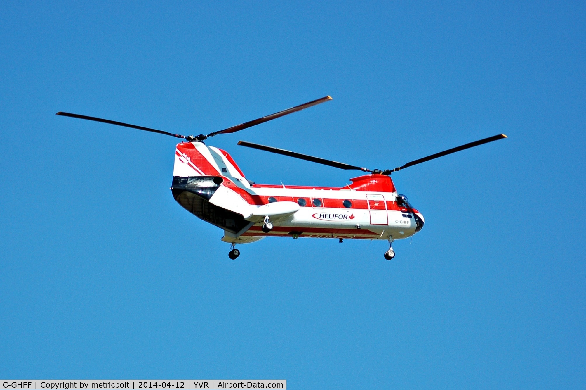 C-GHFF, 1963 Boeing Vertol 107-II C/N 406, quick shot as it flew by unexpectedly