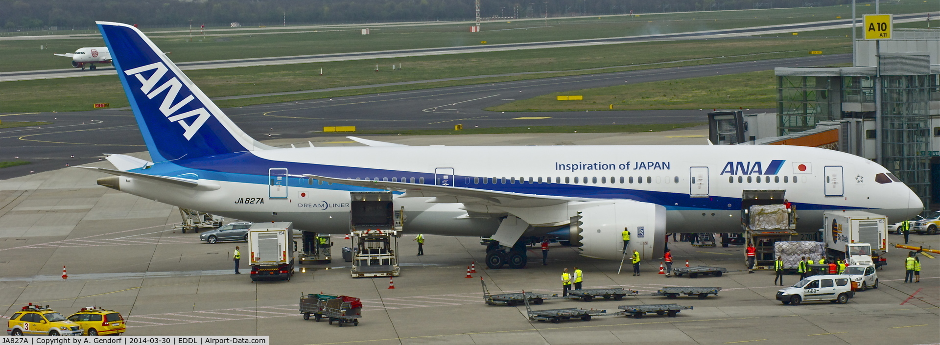 JA827A, 2013 Boeing 787-8 Dreamliner C/N 34509, ANA, seen here at the Gate at Düsseldorf Int'l(EDDL)