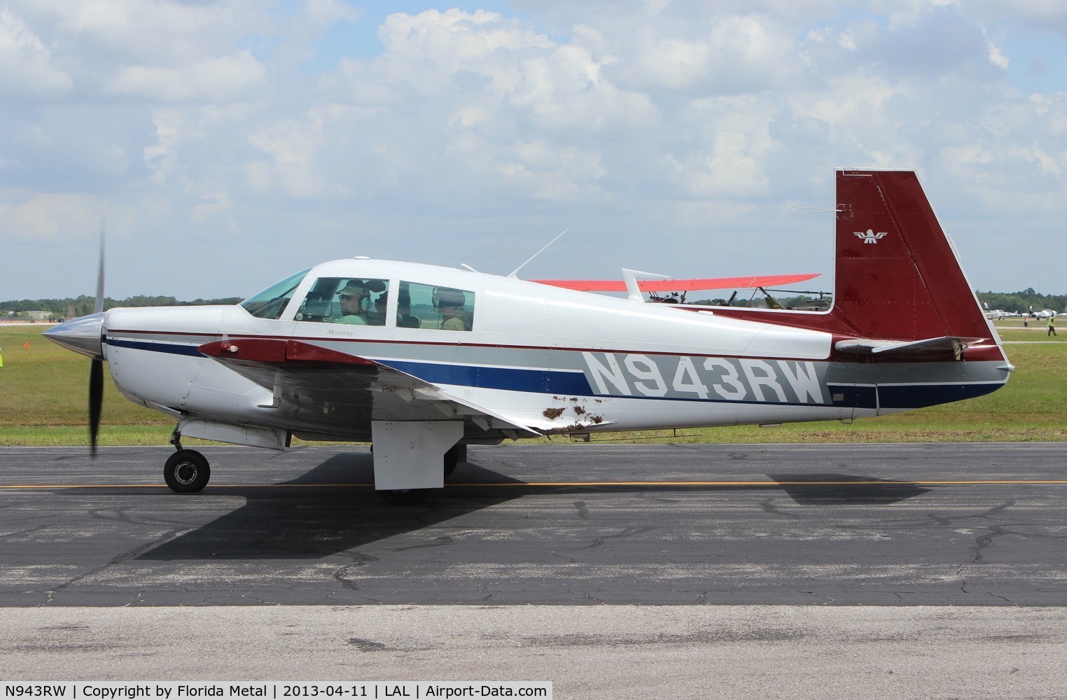 N943RW, 1966 Mooney M20E C/N 929, Bees on the side of the Mooney