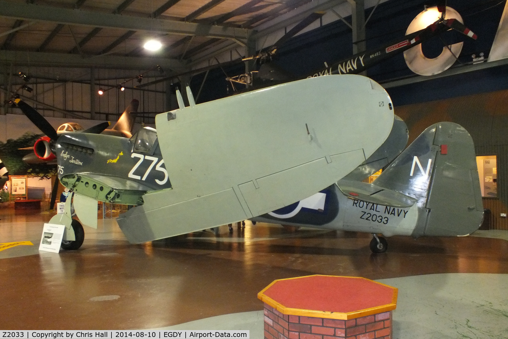 Z2033, 1944 Fairey Firefly 1 C/N F.5607, at the FAA Museum, Yeovilton