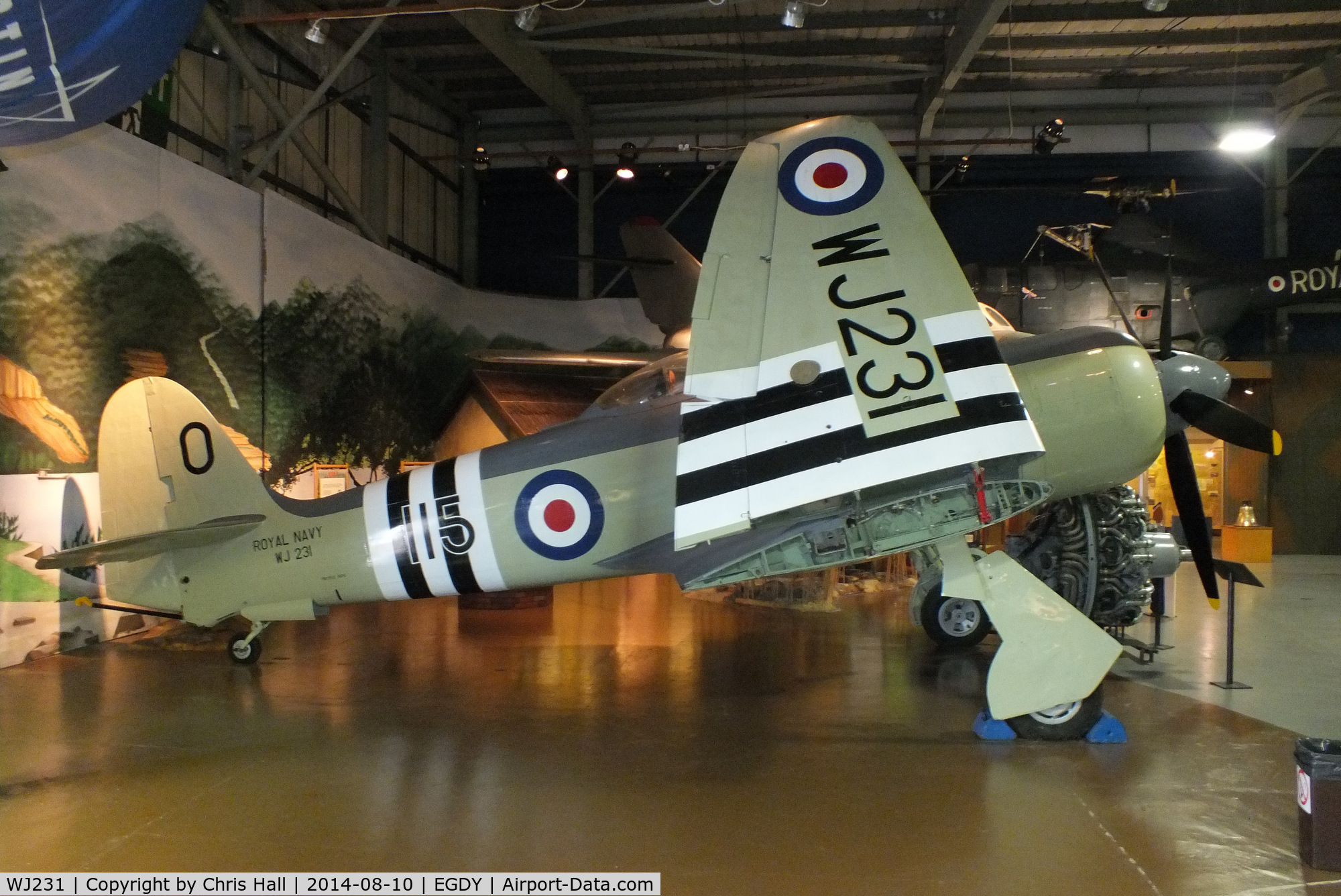 WJ231, Hawker Sea Fury FB.11 C/N Not found WJ231, at the FAA Museum, Yeovilton