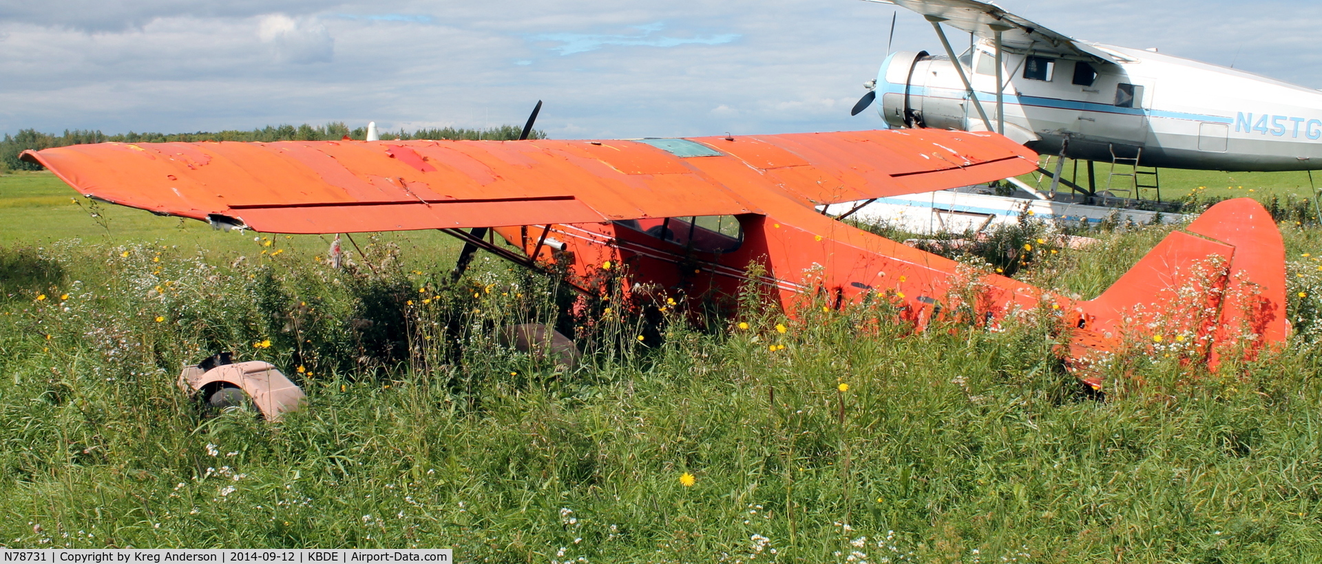 N78731, Piper PA-11 Cub Special C/N 11-1483, Piper PA-11 Cub Special in the weeds in Baudette, MN.
