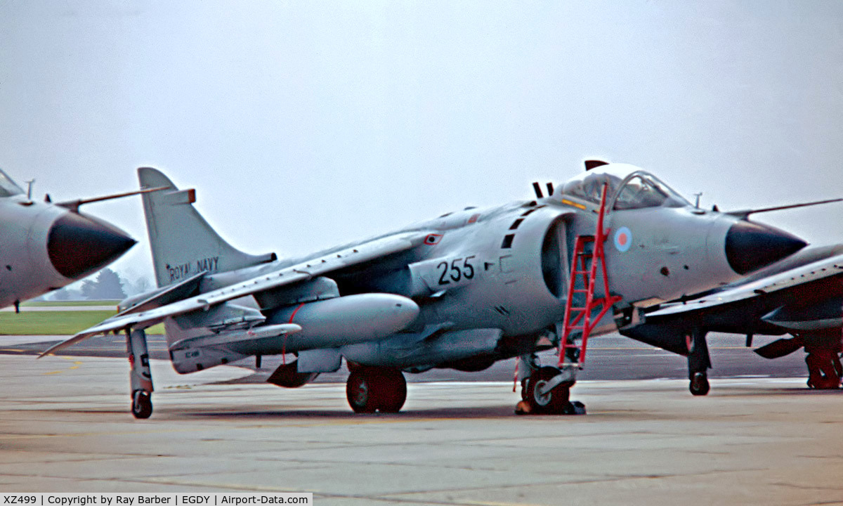 XZ499, 1981 British Aerospace Sea Harrier FRS.1 C/N 41H-912023, BAe Sea Harrier F/A.2 [41H-912023] (Royal Navy) RNAS Yeovilton~G 31/07/1982. From aslide.