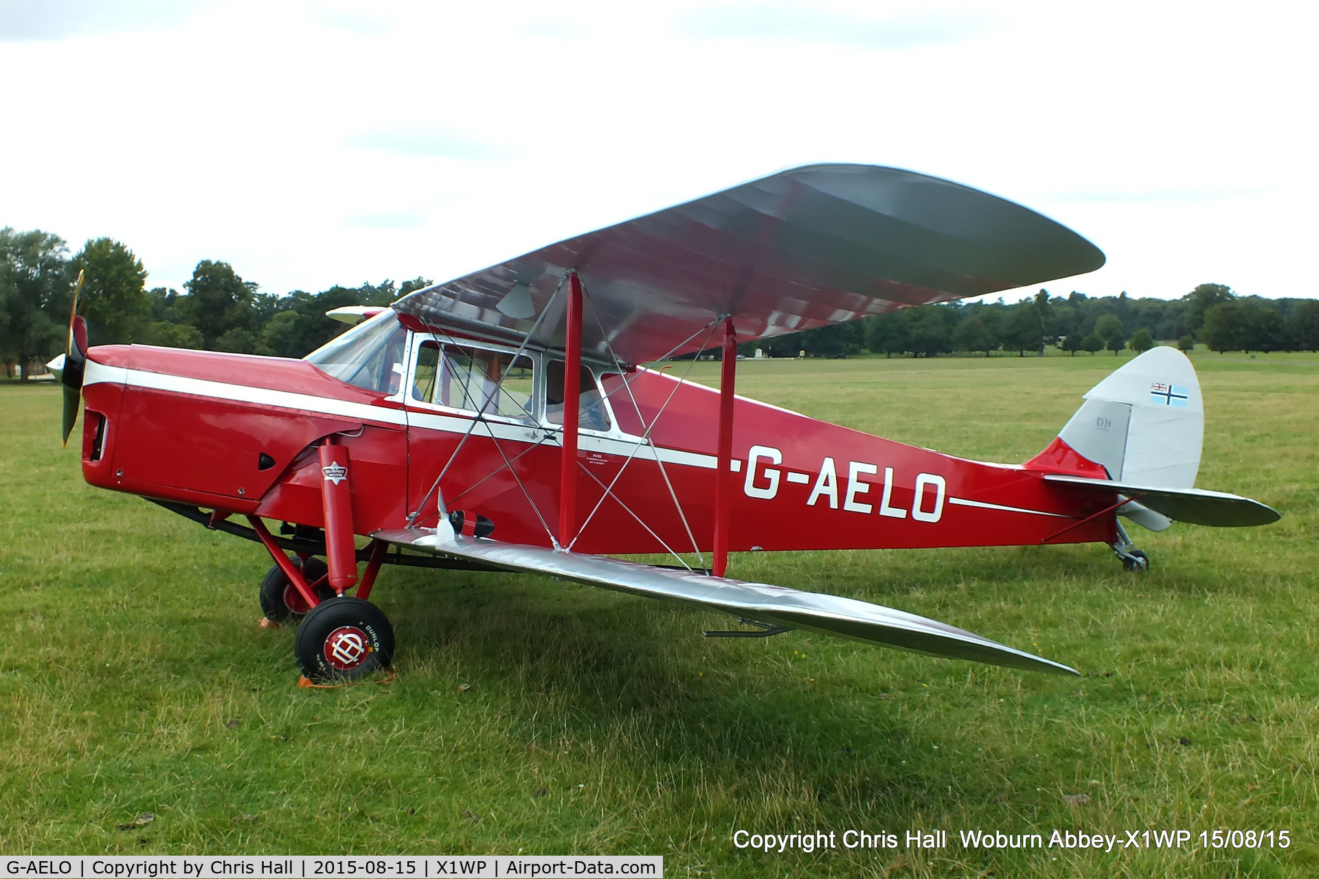 G-AELO, 1936 De Havilland DH.87B Hornet Moth C/N 8105, International Moth Rally at Woburn Abbey 15/08/15