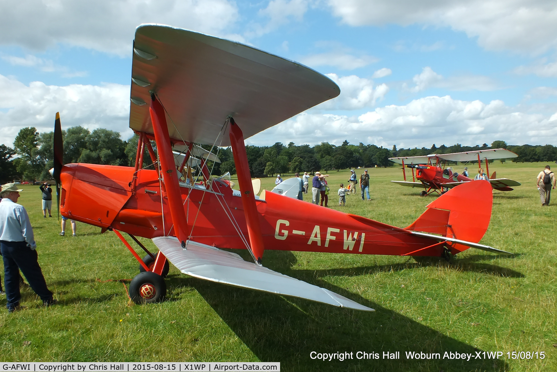G-AFWI, 1939 De Havilland DH-82A Tiger Moth II C/N 82187, International Moth Rally at Woburn Abbey 15/08/15