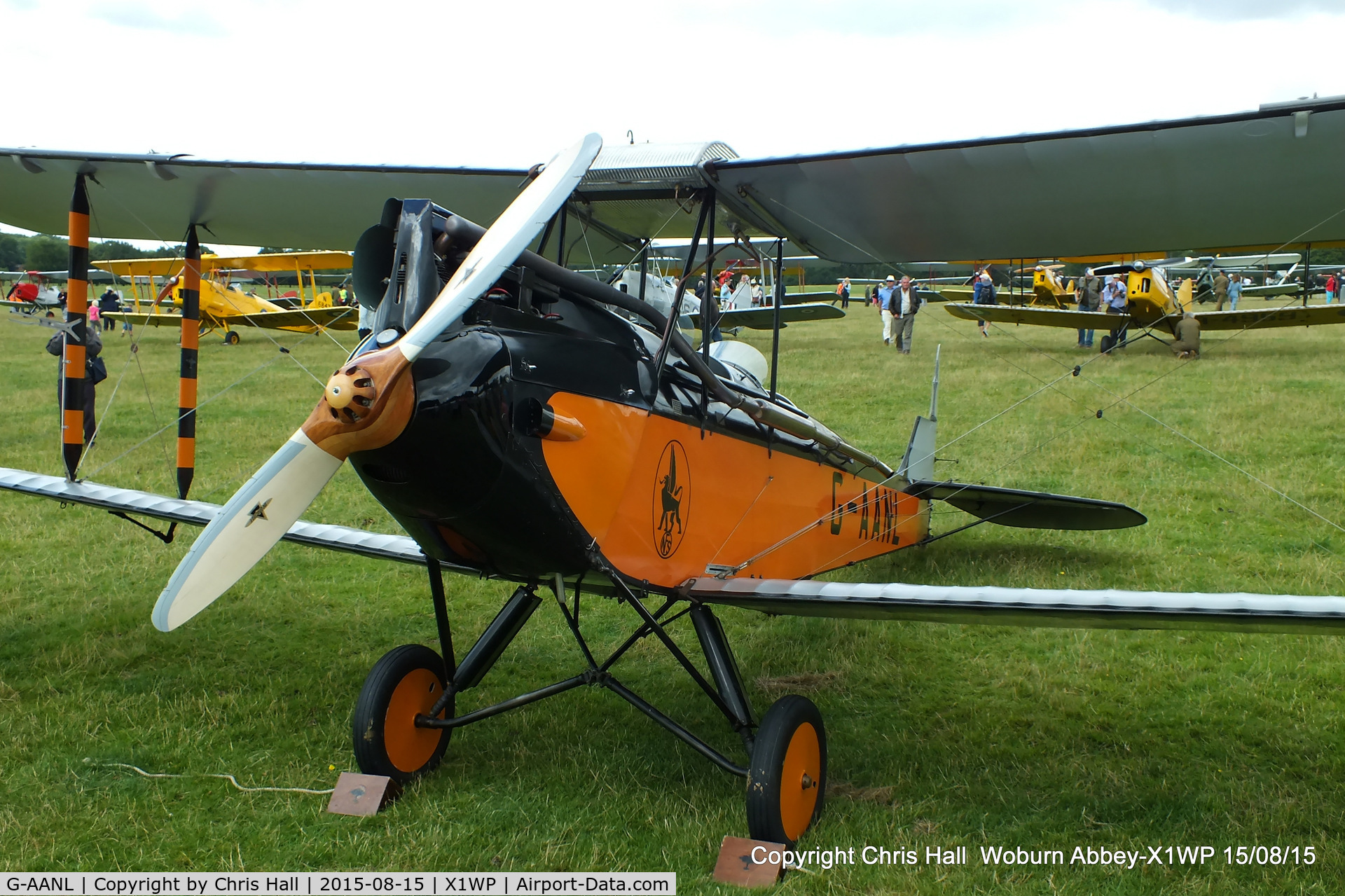 G-AANL, 1929 De Havilland DH.60M Moth C/N 1446, International Moth Rally at Woburn Abbey 15/08/15