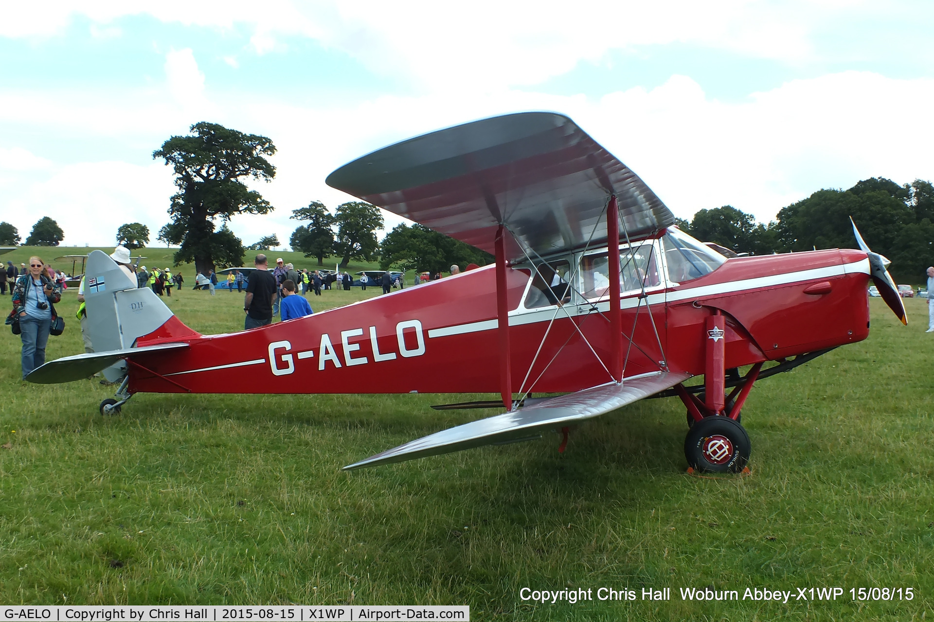 G-AELO, 1936 De Havilland DH.87B Hornet Moth C/N 8105, International Moth Rally at Woburn Abbey 15/08/15