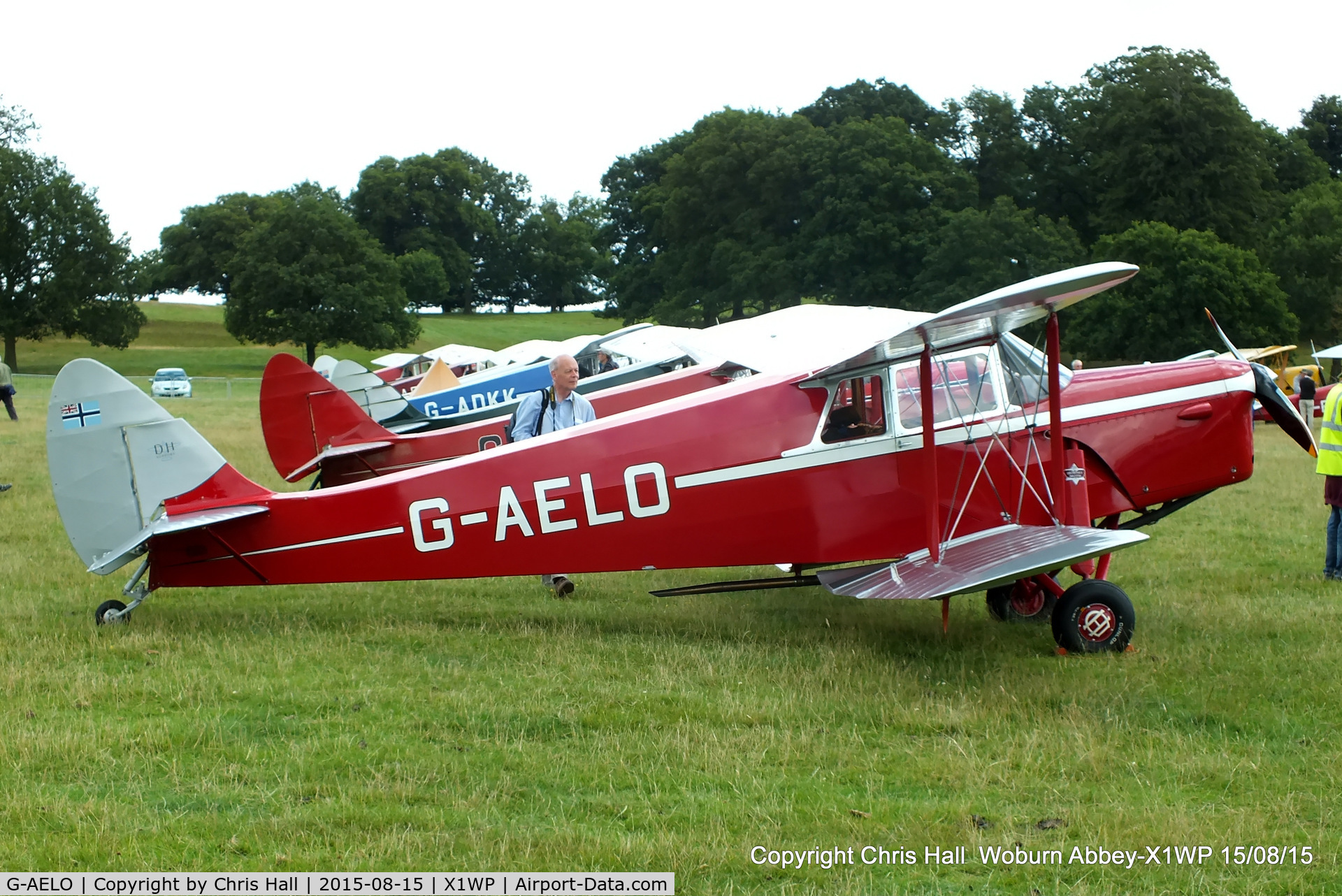 G-AELO, 1936 De Havilland DH.87B Hornet Moth C/N 8105, International Moth Rally at Woburn Abbey 15/08/15