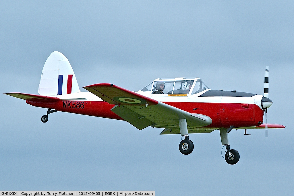 G-BXGX, 1952 De Havilland DHC-1 Chipmunk T.10 C/N C1/0609, At 2015 LAA National Rally at Sywell