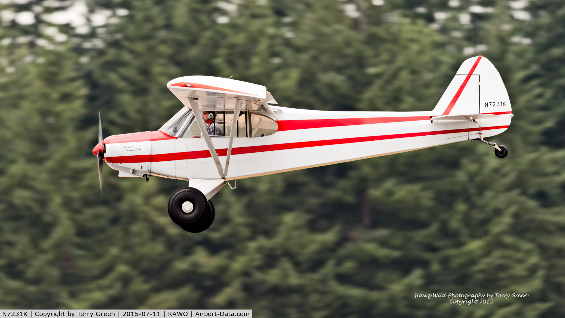 N7231K, 1953 Piper PA-18 C/N 18-123, 2015 Arlington Fly-In