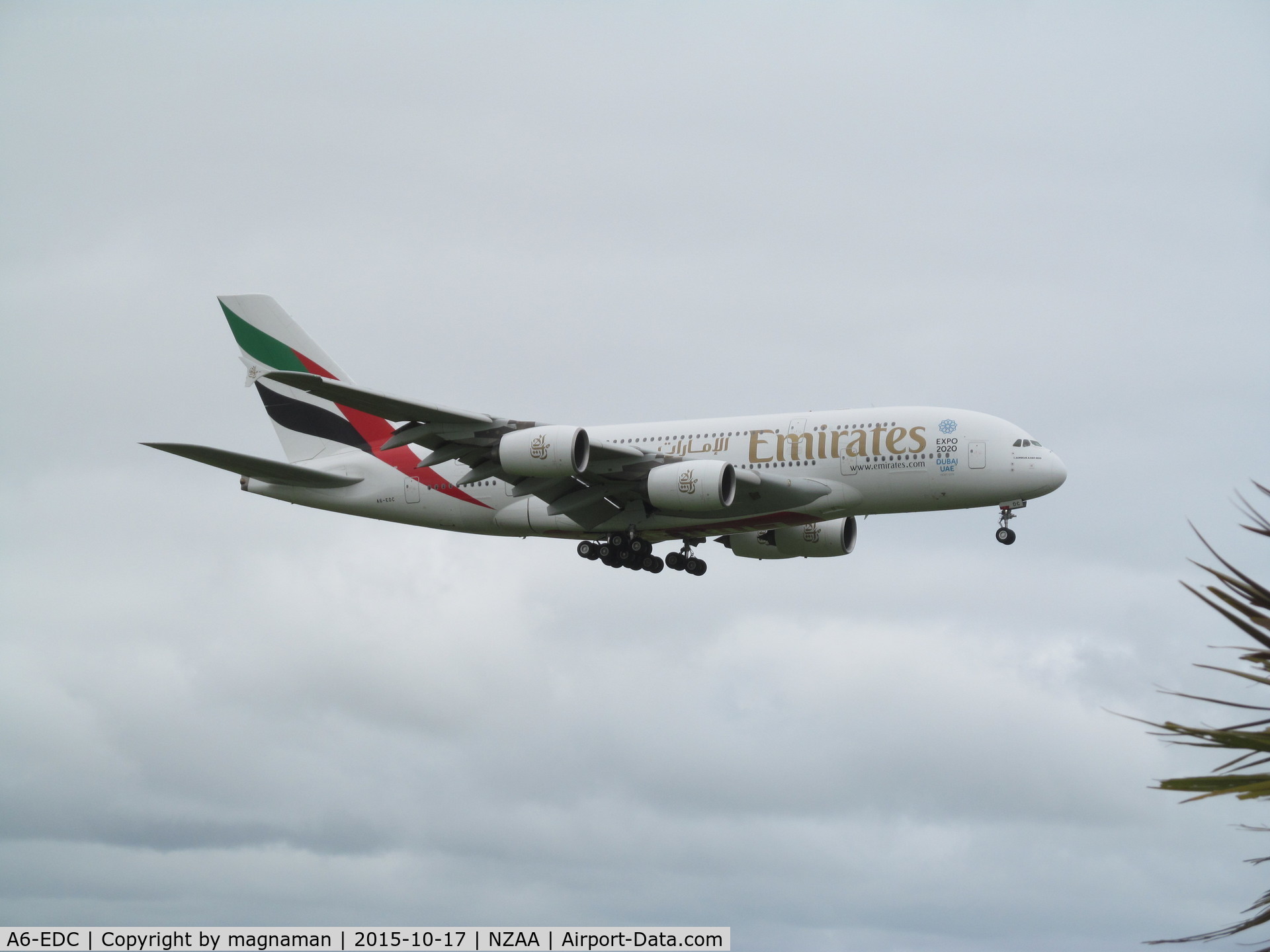 A6-EDC, 2008 Airbus A380-861 C/N 016, on finals to AKL and palm trees