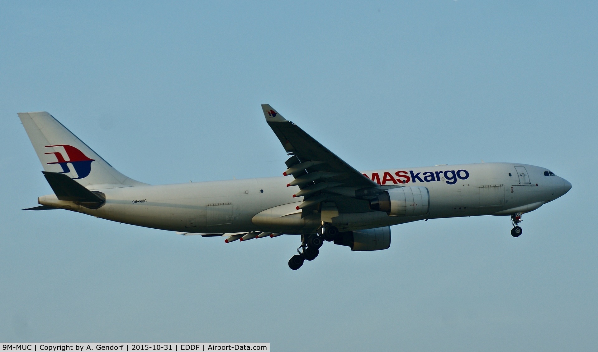 9M-MUC, 2011 Airbus A330-223F C/N 1164, Malaysia Airlines Cargo, is here landing at Frankfurt Rhein/Main(EDDF)